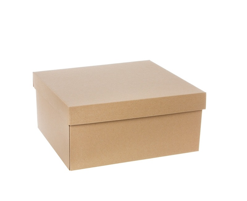 34x20x12cm-samosklopive-kutije-sa-poklopcem-kartonske-kutije-za-obu-u-kutije-za-cipele_5a7f0792d4cf9.jpg