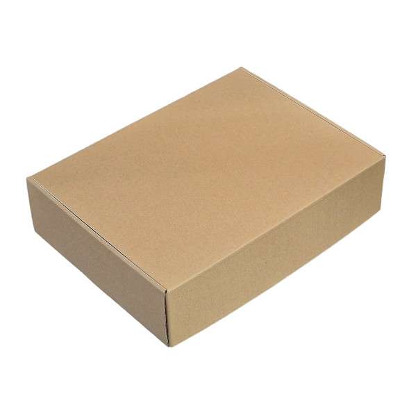 40x30x10 cm - Samosklopiva kartonska kutija